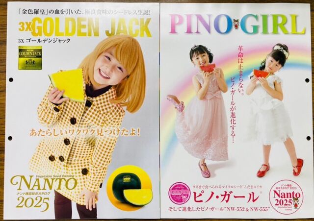 タネまで食べられる小玉スイカ | ピノ・ガール™